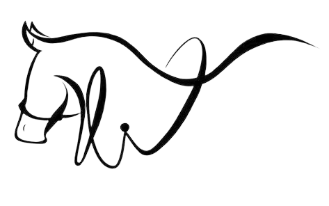 logo icon